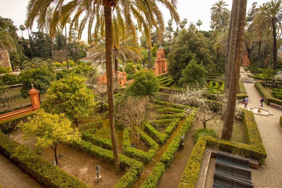 Alcázar of Seville Skip-the-Line Tickets and Guided Tour - Guide quality and group control: what to look for when choosing this