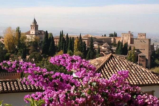 Alhambra Guided Tour & Albaicin Tour from Seville - Value and Price: What $95.34 Actually Covers