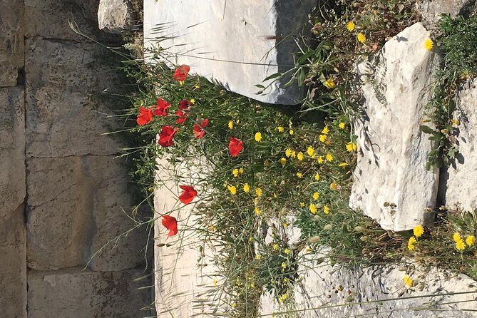 Athens Shore Excursion: Private City Sightseeing and Acropolis Tour - Syntagma Square, Tomb of the Unknown Soldier, and Modern Athens Drama