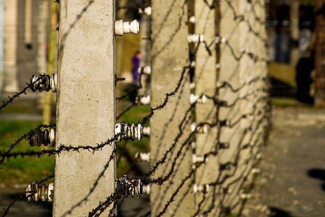 Auschwitz Birkenau and Salt Mine Full Day Guided Tour from Krakow hotel pick up - Price and value: when $180.27 actually makes sense