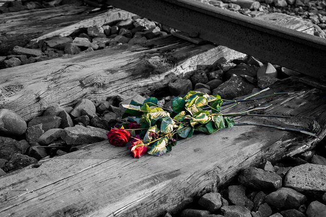 Auschwitz Birkenau and Salt Mine Full Day Guided Tour from Krakow hotel pick up - Who this tour fits best (and who should think twice)