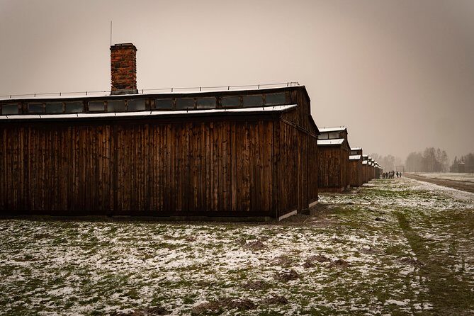 Auschwitz-Birkenau and Wieliczka Salt Mine Day Tour from Krakow with private car - The rhythm of the day: timing, comfort, and what feels long