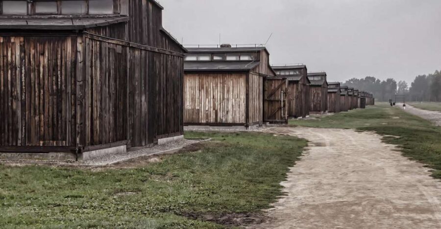 Auschwitz-Birkenau: Entrance Ticket and Live Tour Guide - Key points to know before you go