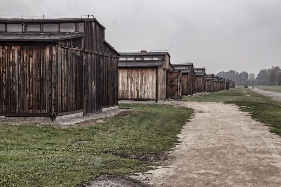 Auschwitz-Birkenau: Entrance Ticket and Live Tour Guide - Getting to Auschwitz I: meeting point, timing, and ID checks