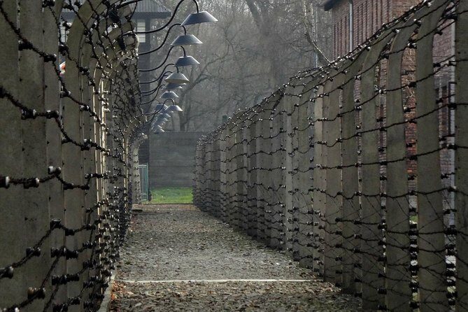 Auschwitz-Birkenau last minute guided Tour - The museum visit: what 3 hours feels like, and what to expect
