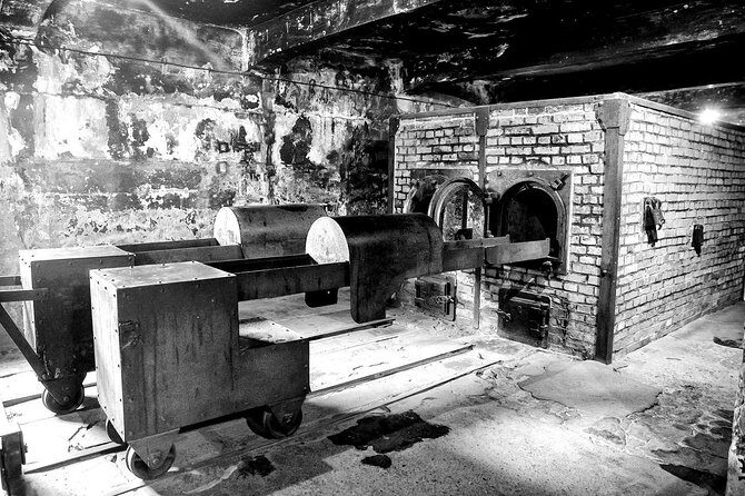 Auschwitz-Birkenau Memorial and Museum Guided Tour from Krakow - Group Size: Small Enough for Questions