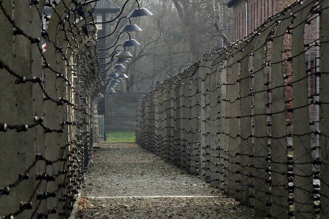 Auschwitz-Birkenau Private Tour from Krakow - Timing and what to expect from a full-day 7–9 hour experience