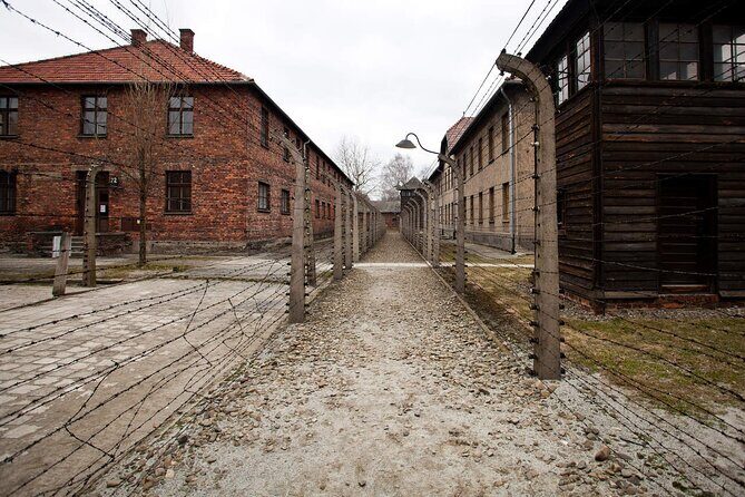 Auschwitz-Birkenau & Salt Mine Day tour - Walking Rules at Auschwitz: Bags, Steps, and Cold Reality