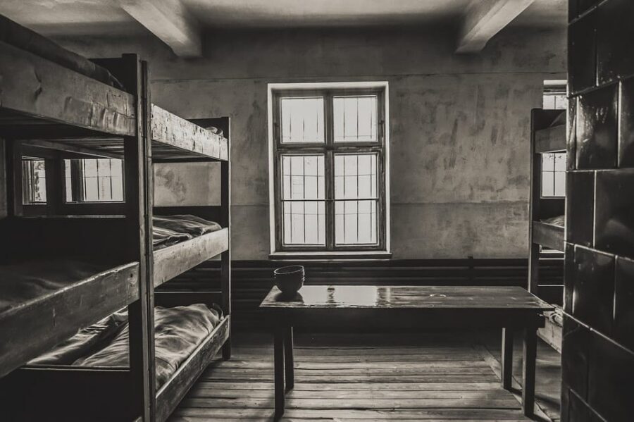 Auschwitz-Birkenau & Salt Mine Tour in One Day from Krakow - Key things to know before you go