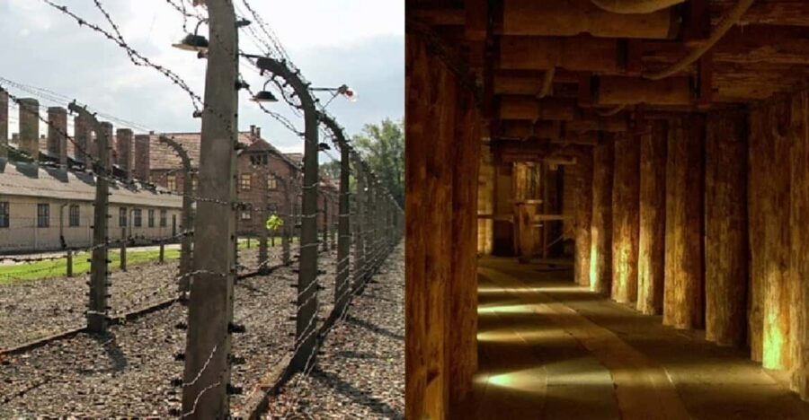 Auschwitz-Birkenau & Salt Mine Tour in One Day from Krakow - Price and value: why $164 can make sense for this exact combo