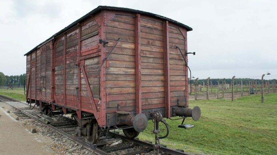 Auschwitz-Birkenau & Salt Mine Tour in One Day from Krakow - Dress code, bag limits, and what to pack for a smoother day