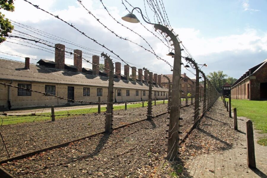 Auschwitz-Birkenau Tour from Katowice with Private Transfers - Hearing the Story Clearly: Licensed Guides and Headsets in a Crowded Memorial
