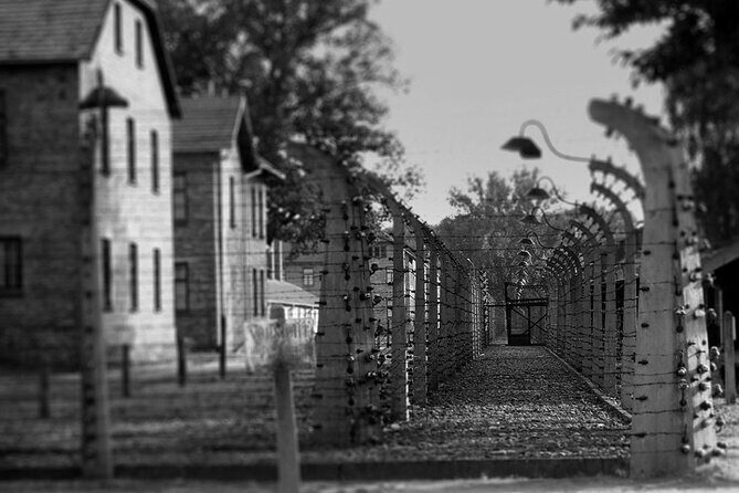Auschwitz Birkenau Transfer and Guide with Salt Mine Combo Option - Who This Tour Is Best For (and who should think twice)