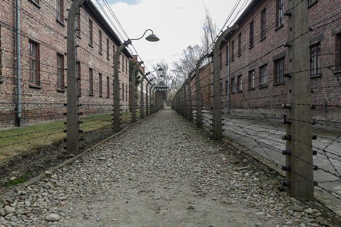 Auschwitz-Birkenau & Wieliczka in one day (Guided tour) - Wieliczka Salt Mine: 16–18°C underground and the sculpted route