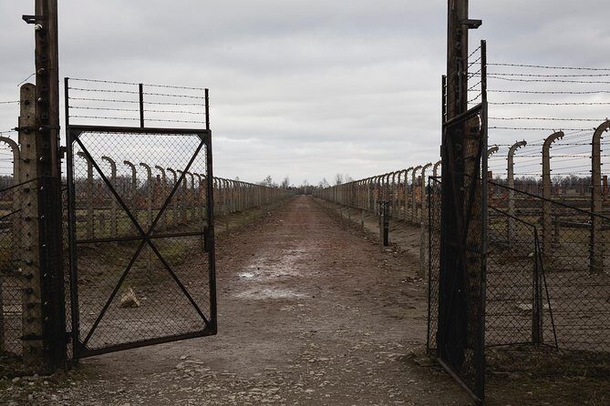Auschwitz-Birkenau & Wieliczka in one day (Guided tour) - Price and value for a one-day Auschwitz plus Wieliczka plan