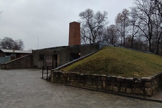 Auschwitz Museum and Salt Mine Tour with Private Transport - Lunch timing and the shift from Auschwitz to the Salt Mine