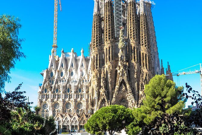 Barcelona Highlights & Sagrada Familia Tour: Priority Access - Montjuïc Hill: Olympic views, museum pause, and photo angles