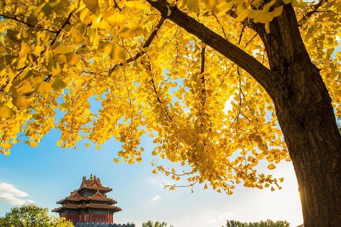Beijing Layover Tour to Tiananmen Square and Forbidden City - Private Guide Commentary: How the Tour Makes You Look Better at Architecture