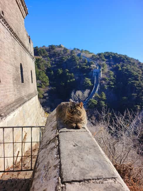 Beijing: Private Tour to Mutianyu Great Wall&Forbidden City - Who this tour is best for (and who might want something else)