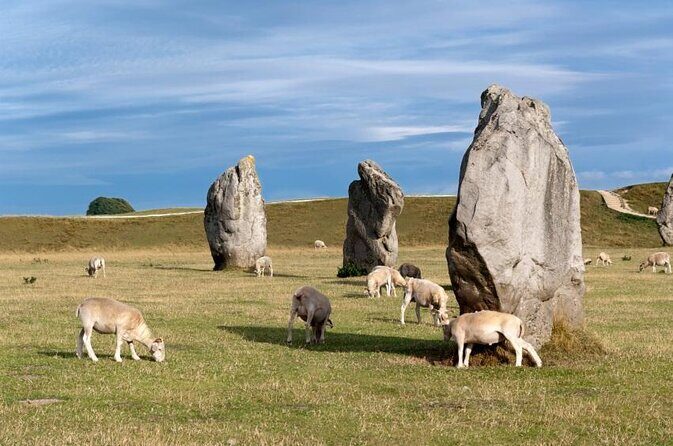 Bespoke private tours of Stonehenge and Avebury by car with local guide - Key things that make this tour work