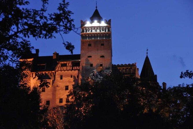 Brasov: Bear Sanctuary, Bran Castle & Rasnov Fortress GUIDED Tour - Stop 1: Libearty Bear Sanctuary in the Piatra Craiului forest