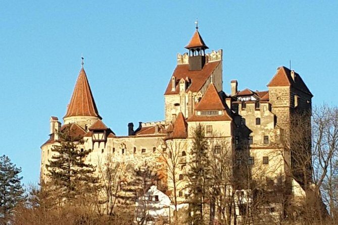 Brasov: Bear Sanctuary, Bran Castle & Rasnov Fortress GUIDED Tour - Getting there: hotel pickup, air-conditioned comfort, and a guide in the van