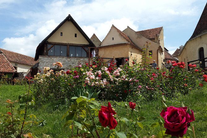 Brasov: Peles Castle, Bran Castles and Rasnov Fortress Day Tour - Rasnov Fortress: the big panoramic view—plus a renovation reality check