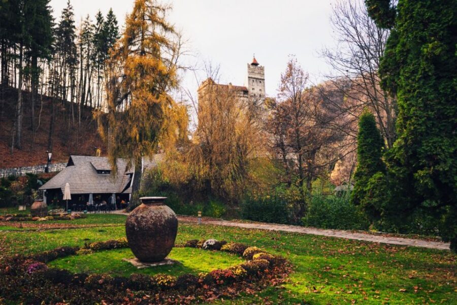 Bucharest: Bran Castle and Bear Sanctuary Small-Group Tour - Key Points I’d Prioritize Before Booking