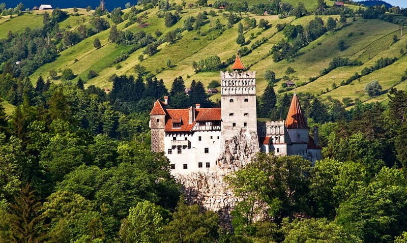 Bucharest: Day Trip to Bear Sanctuary, Bran Castle & Brasov - Liberty Bear Sanctuary in Zărnești: nature behaviors, rescue backstory