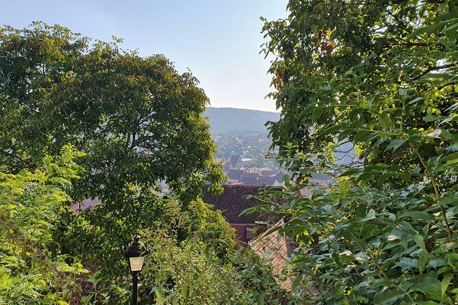 Bucharest Private Tour with Dracula's Grave and Ceaușescu Mansion - Quick takeaways