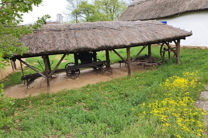 Bucharest Private Tour with Dracula's Grave and Ceaușescu Mansion - National Village Museum: Wooden Churches and Sustainable Roots