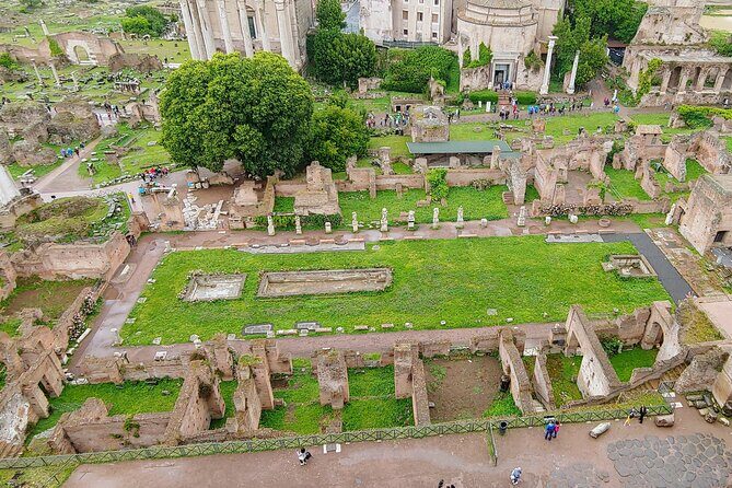 Colosseum & Ancient Rome Guided Walking Tour - Value check: is $65.33 actually a good deal?