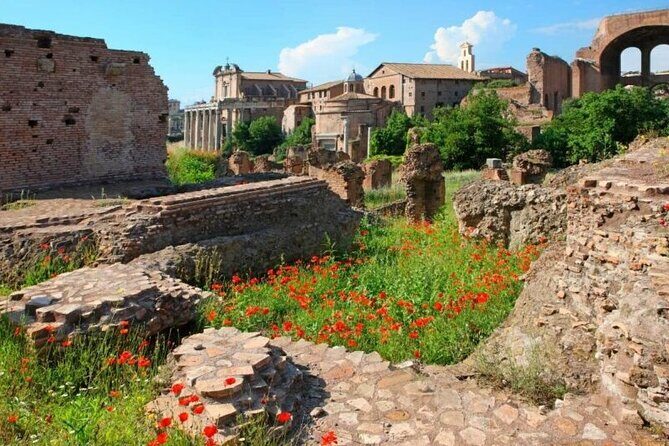 Colosseum & Ancient Rome Private: Women History Guided Tour - Price and Value: What You’re Paying For at $296.30