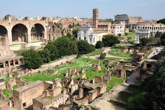 Colosseum and Ancient Rome Private Guided Tour - Private Guide Quality: What You Get (and the One Common Quirk)
