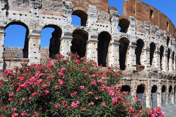 Colosseum Express Tour - Key Things to Know Before You Go