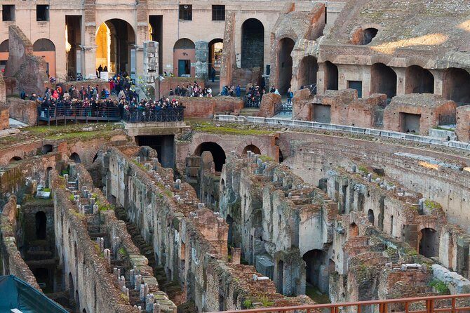 Colosseum, Palatine Hill and Roman Forum Guided Tour - Entering the Colosseum: Gladiators, Epic Battles, and Arena Option