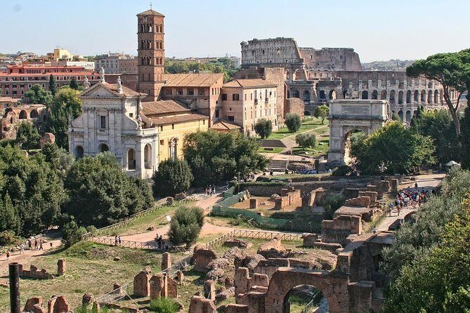 Colosseum, Palatine Hill, and Roman Forum Private Tour - The Roman Forum stop: 30 minutes of politics and daily power