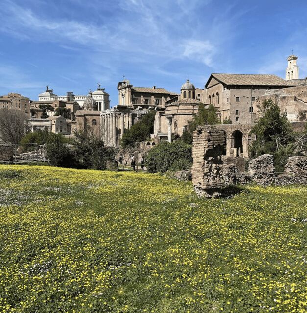 Colosseum, Roman Forum, Palatine Hill - the PRIVATE TOUR - How Skip-the-Line Works When You Want the Colosseum First