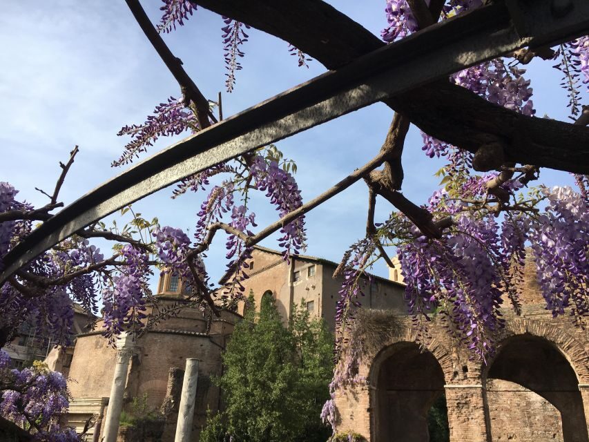 Colosseum, Roman Forum, Palatine Hill - the PRIVATE TOUR - Languages, Private Group Comfort, and How Hearing Works
