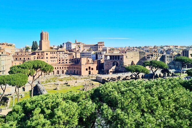 Colosseum with Arena Guided Tour - Palatine Hill After the Colosseum: Rome’s Power Neighborhood