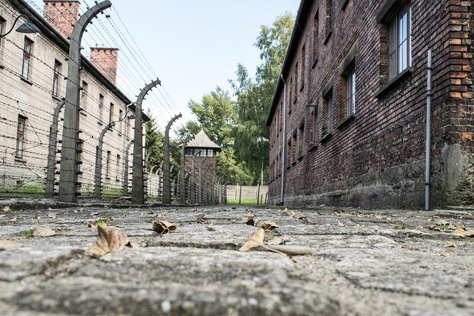 Combined: Auschwitz Birkenau and Salt Mine private chauffeur from Krakow - Auschwitz-Birkenau: guided camp visit with headphones
