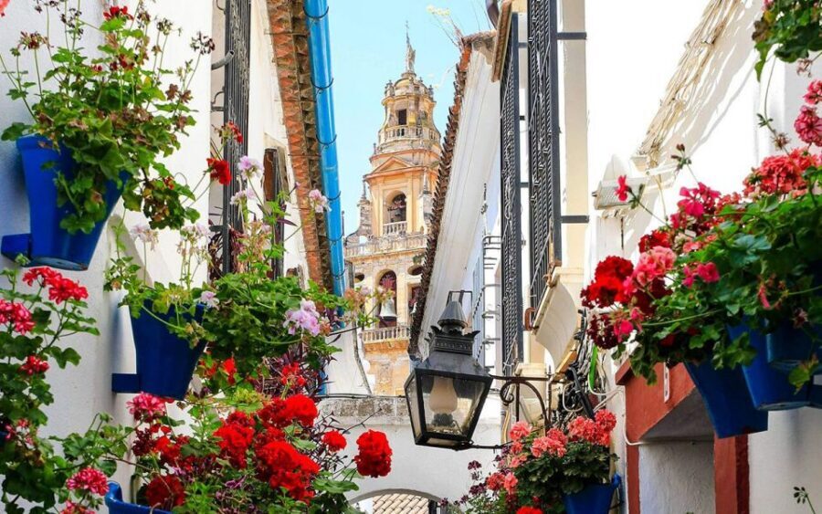 Córdoba: Mosque and Alcazar Private Tour with tickets - Puerta del Puente to the Mezquita-Cathedral: where the story starts