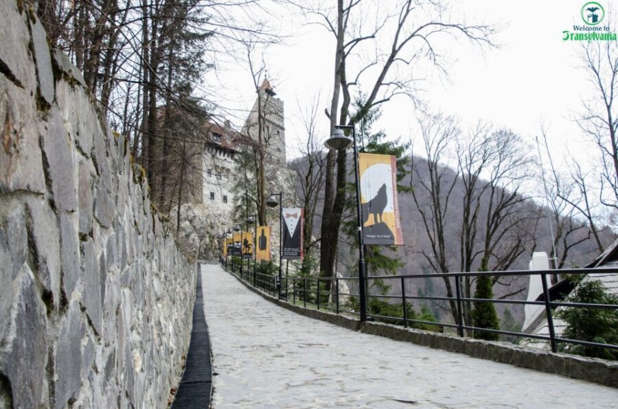 Day trip Bran Castle, Rasnov Fortress and Bear Sanctuary - Bran Castle: Dracula’s Castle for People Who Want the Real Stories