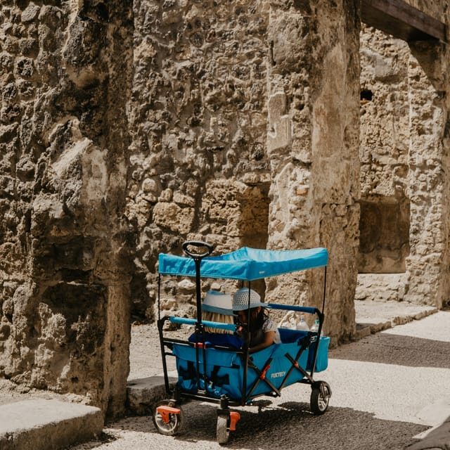 Discover Pompeii: French Walking Tour of the Buried City - Why a 2-hour Pompeii tour is the smart way to start