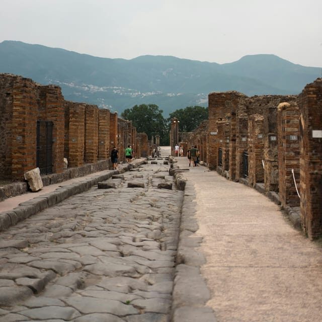 Discover Pompeii: French Walking Tour of the Buried City - Ticket type matters: a heads-up about houses and included access