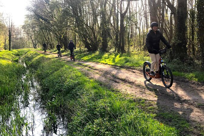 Discover Versailles on electric 2-wheelers (Yes to PRM) - Grand Canal views and La Lanterne: the Sun King’s water world