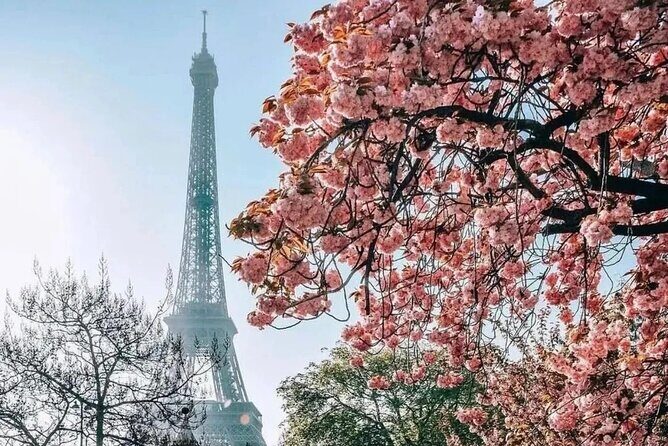 Eiffel Tower Guided Access up to the 2nd Floor or Summit by Lift - Elevator reality check: when priority helps and when it doesn’t