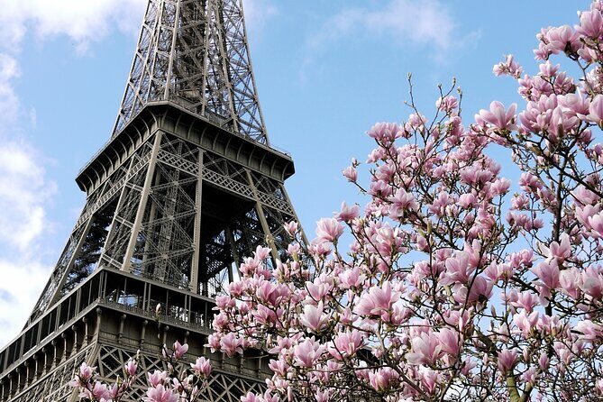 Eiffel Tower Summit Semi-Private Guided Tour - Summit Views Over Paris: the payoff you can’t fake