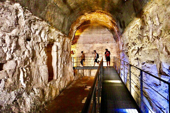 Expert Guided Tour of Colosseum Arena OR Underground, and Forum - Is This Colosseum + Forum + Palatine Hill Tour Worth It?