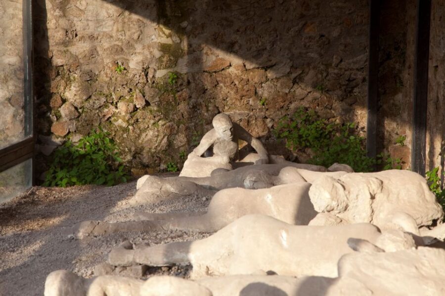From Amalfi Coast: Pompeii Guided Tour - Price and value: what $123.48 really buys you